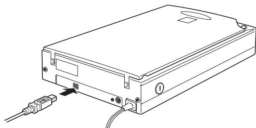 EPSON PERFECTION 1200 - Connect the Scanner to Your Computer - 2