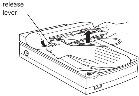 EPSON PERFECTION 1200 - If you need to remove jammed paper from the auto document feeder . . . - 1