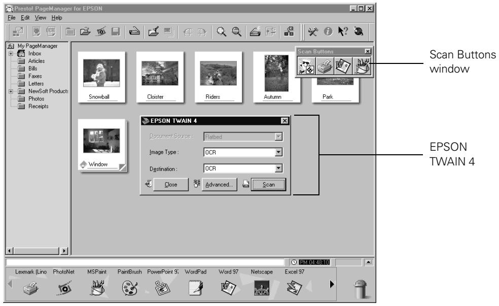 EPSON PERFECTION 1200 - Scanning and Converting a Text Document - 5