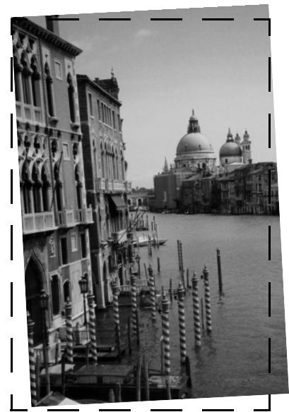 EPSON PERFECTION 1200 - If your scanned image is blurred or distorted . . . - 1