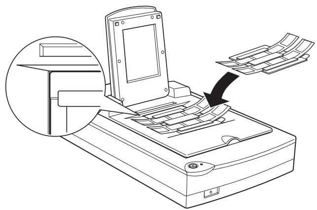 EPSON PERFECTION 1200 - Placing Film and Photos - 3