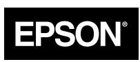 EPSON PERFECTION 1200 - About Your Software - 1