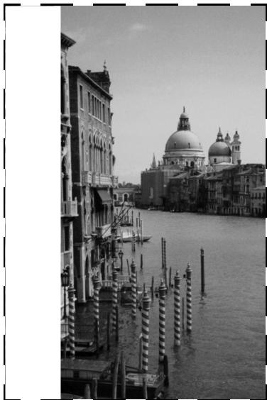 EPSON PERFECTION 1200 - If your image scans at an angle . . . - 1
