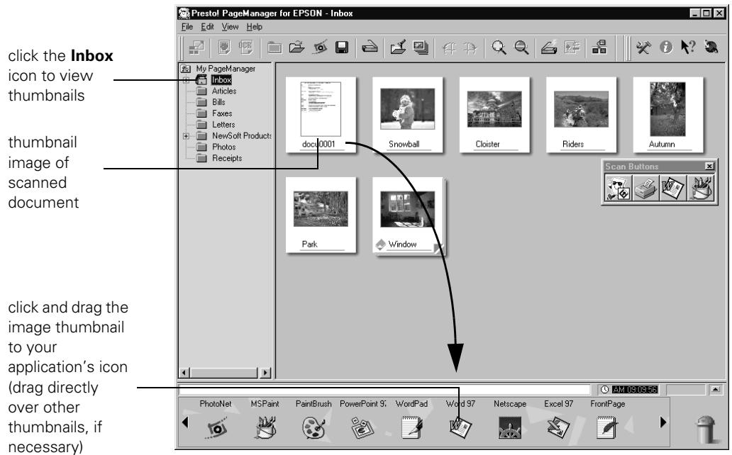 EPSON PERFECTION 1200 - Scanning and Converting a Text Document - 8