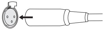 ONKYO M5000R - Branchement du câble XLR - 1