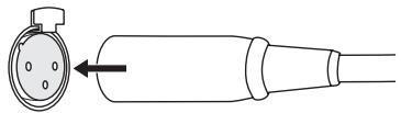 ONKYO M5000R - Para enchufar el cable XLR - 1