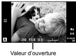 OLYMPUS E-PL6 - Choix de l'ouverture (mode priorité ouverture A) - 1