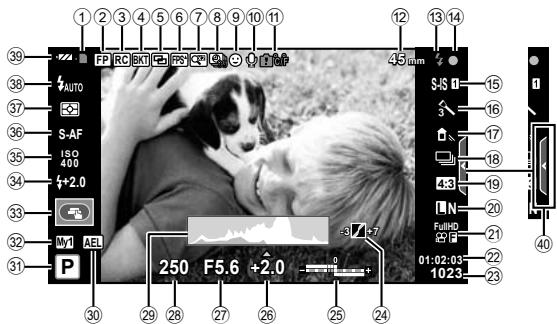 OLYMPUS E-PL6 - Affichage de l'écran pendant la prise de vue - 1