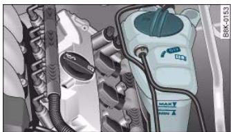 AUDI A5 - Checking coolant level - 1