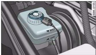 AUDI A5 - Checking brake fluid level - 1