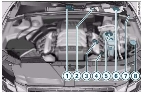 AUDI A5 - Engine compartment layout - 1