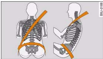 AUDI A5 - Adjusting the seat belts - 1