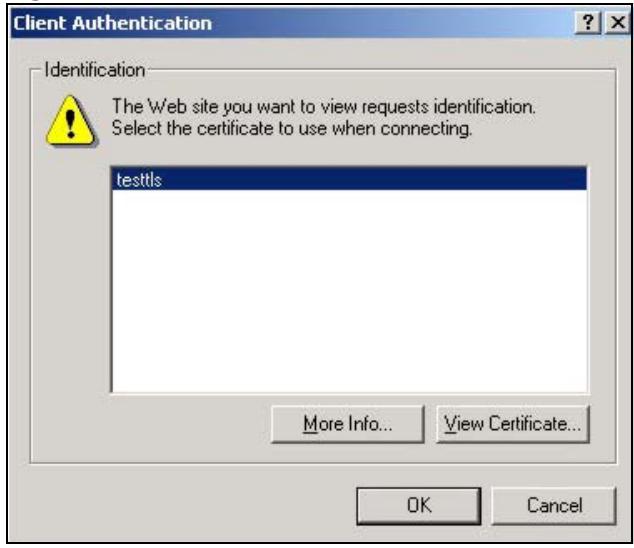 ZYXEL UAG2100 - Using a Certificate When Accessing the UAG Example - 2