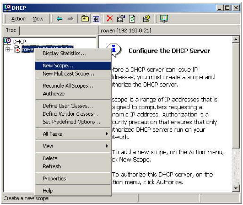 LINKSYS LAPAC1750 - DHCP server configuration - 1