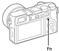 SONY A6500 - Using the Fn (Function) button - 1