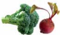 MAGIMIX JUICE EXPERT 2 BLANC - Les vitamines - 4