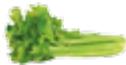 MAGIMIX JUICE EXPERT 2 BLANC - Filtre JUS - 1