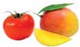 MAGIMIX JUICE EXPERT 2 BLANC - Les vitamines - 7