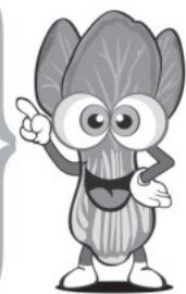 FAGOR FG128 - Preparation des - 4