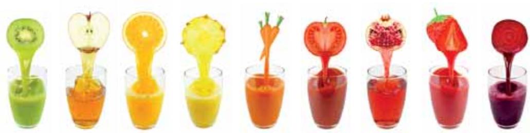 MAGIMIX 18082F JUICE EXPERT 3 - Juice EXPERT - 13