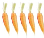MAGIMIX 18082F JUICE EXPERT 3 - COUPE-LÉGUMES - 6