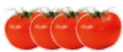 MAGIMIX 18082F JUICE EXPERT 3 - COUPE-LÉGUMES - 2