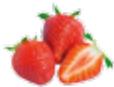 MAGIMIX 18082F JUICE EXPERT 3 - EXTRA PRESS® - 1