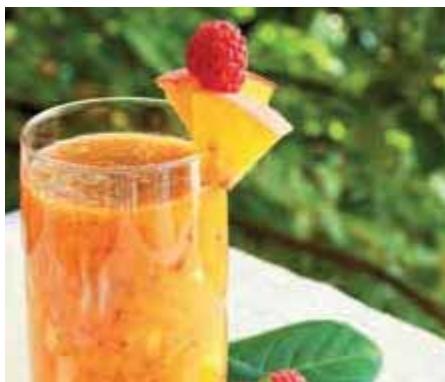 MAGIMIX 18082F JUICE EXPERT 3 - SÉLECTION DES RECETTES - 4