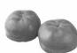 FAGOR FG753 - Graines - 3