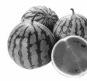 FAGOR FG753 - Peaux dures ou non comestibles - 2