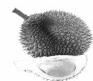 FAGOR FG753 - Peaux dures ou non comestibles - 3