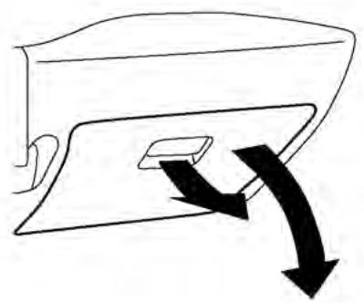 NISSAN LEAF 2 - AVERTISSEMENT - 1