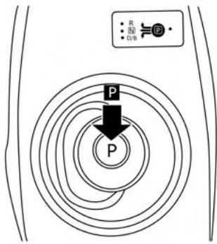 NISSAN LEAF 2 - MISE EN GARDE - 1