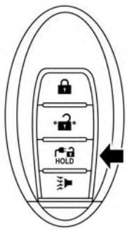 NISSAN LEAF 2 - MISE EN GARDE - 2