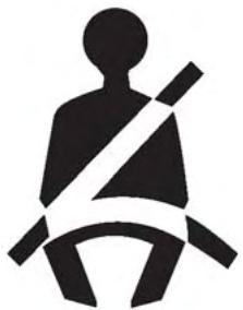 NISSAN LEAF 2 - AVERTISSEMENT - 1