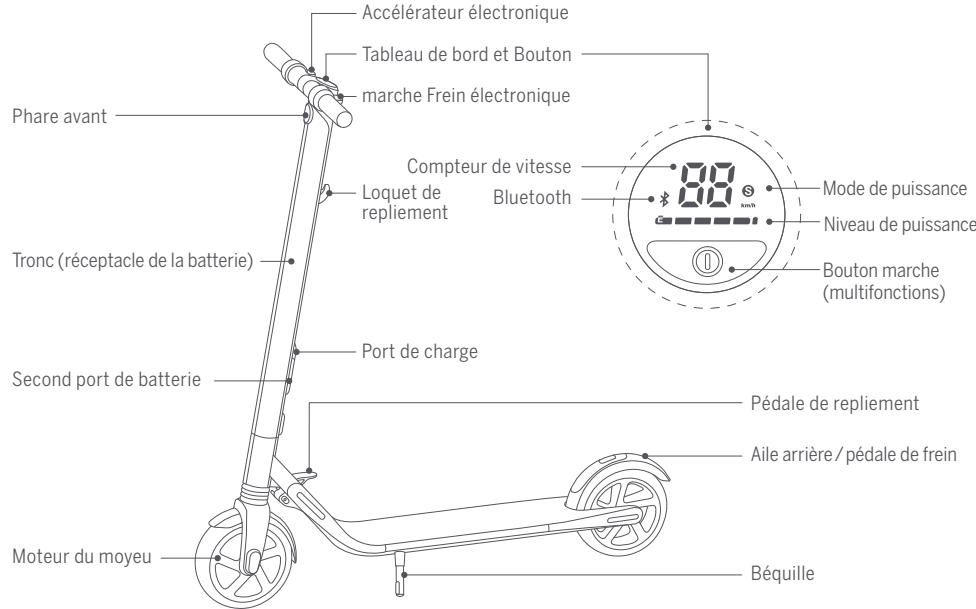 NINEBOT SEGWAY ES4 - Diagramme - 1