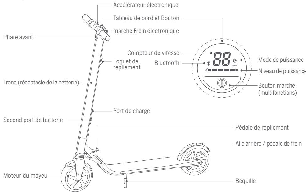 NINEBOT SEGWAY ES2 - Diagramme - 1