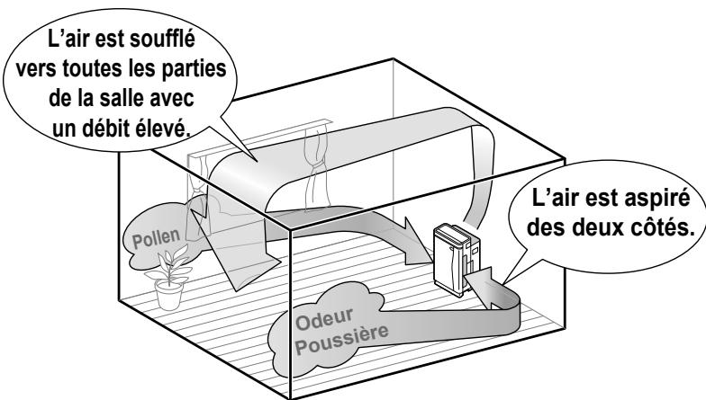 DAIKIN MCK75J - À propos de la purification d'air - 1