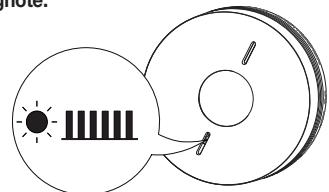 DIAGRAL DIAG72ATX - Principe de mise en réseau - 4