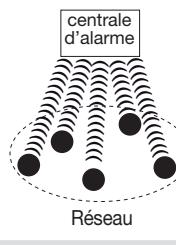 DIAGRAL DIAG72ATX - Principe de mise en réseau - 1