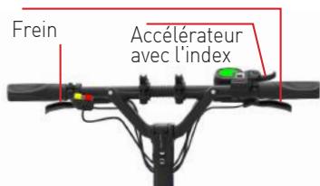 MINIMOTORS DUALTRON - Etape 2. Allumez le diplay - 2