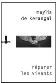 BOOKEEN SAGA - Bibliothèque - 2