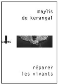 BOOKEEN SAGA - Bibliothèque - 2