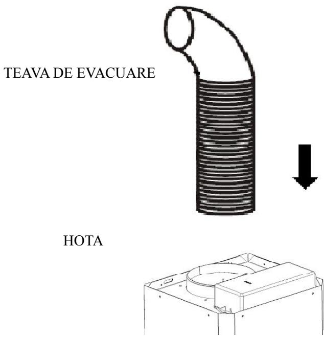TEAVA DE EVACUARE HOTA