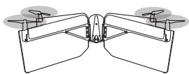 PARROT SWING - FLYING - 1