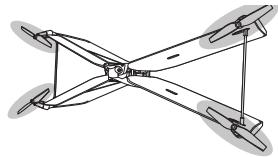 PARROT SWING - FLYING - 2