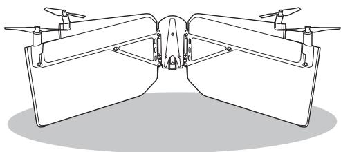 PARROT SWING - STARTEN - 1