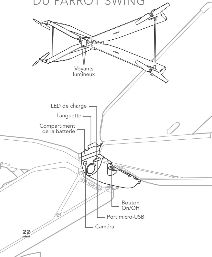 PARROT SWING - DU PARROT SWING - 1