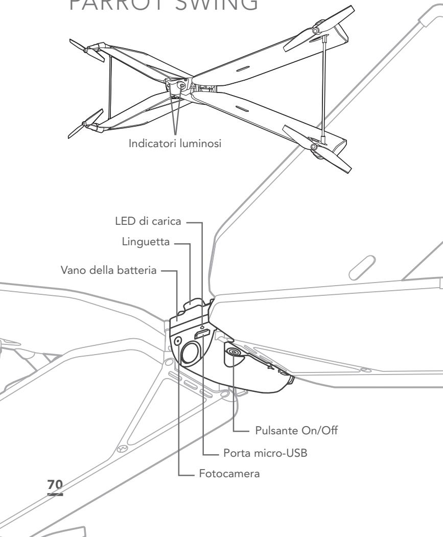 PARROT SWING - 1