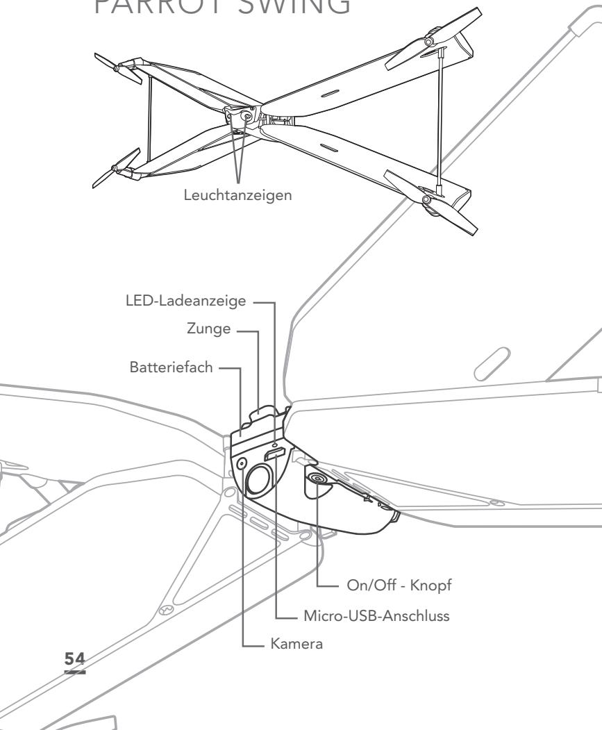 PARROT SWING - 1